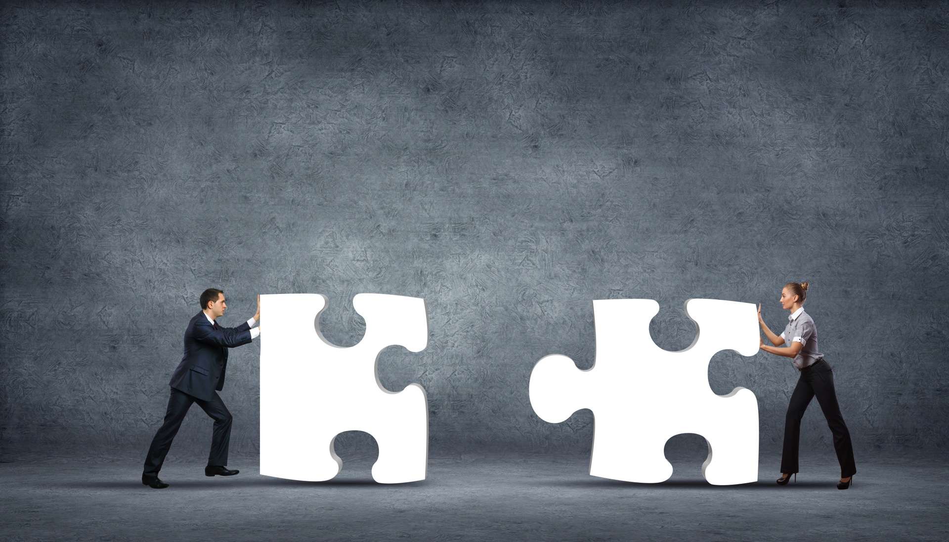 Le organizzazioni neurali
